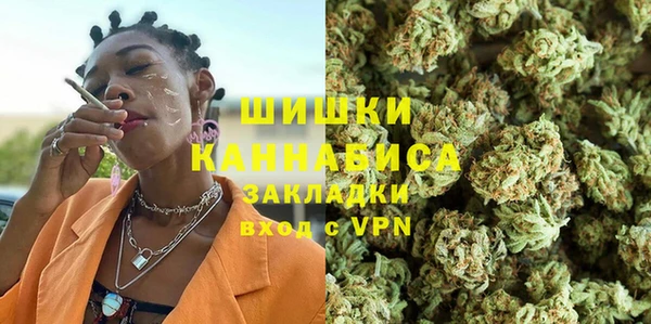 твердый Михайлов