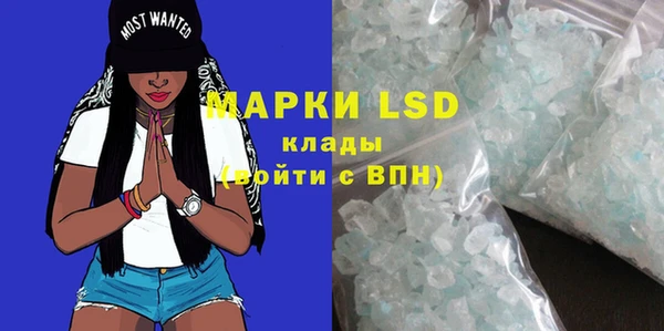 твердый Михайлов