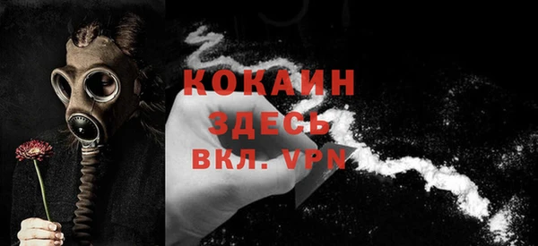 твердый Михайлов