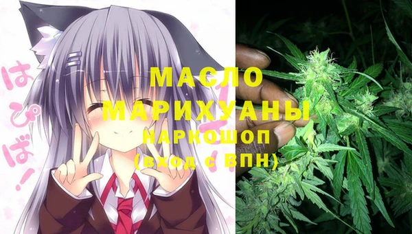 твердый Михайлов