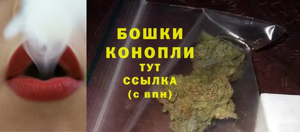 твердый Михайлов