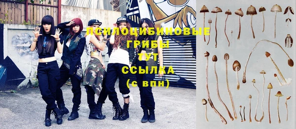 спиды Михайловка