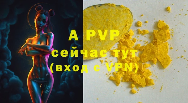 твердый Михайлов