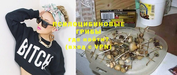 твердый Михайлов