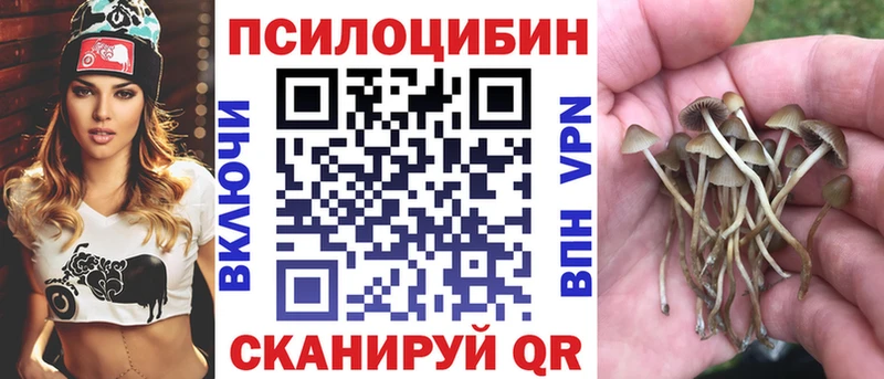 сайты даркнета клад  Бабушкин  Псилоцибиновые грибы Cubensis 